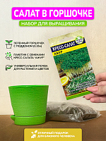 Набор для выращивания "Кресс-салат"