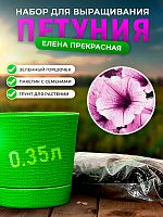 Набор для выращивания петунии "Елена Прекрасная"